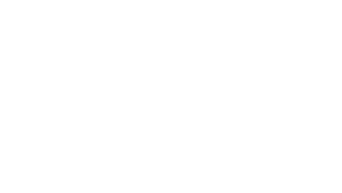 Bush Talk logo